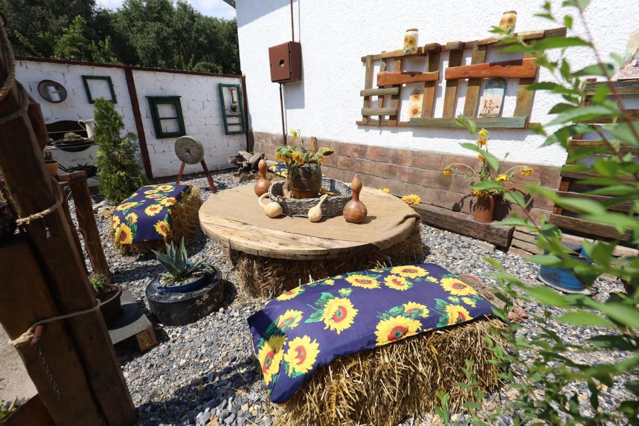 Etno Kuca Teodora Bed & Breakfast Stajicevo Bagian luar foto