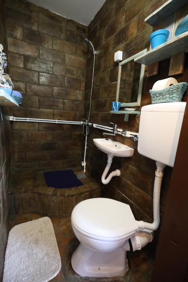 Etno Kuca Teodora Bed & Breakfast Stajicevo Bagian luar foto