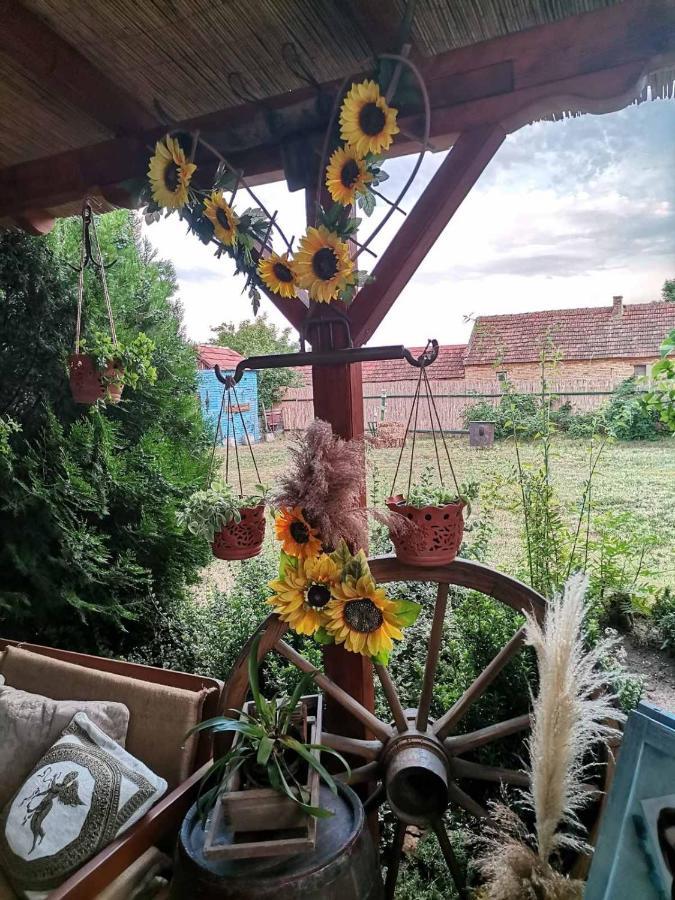 Etno Kuca Teodora Bed & Breakfast Stajicevo Bagian luar foto
